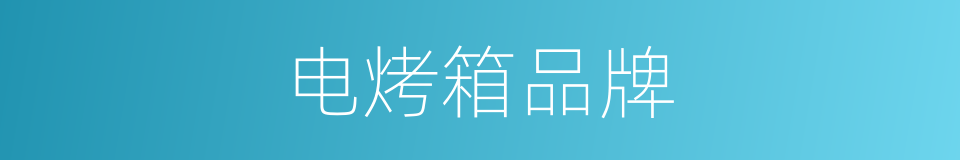 电烤箱品牌的同义词