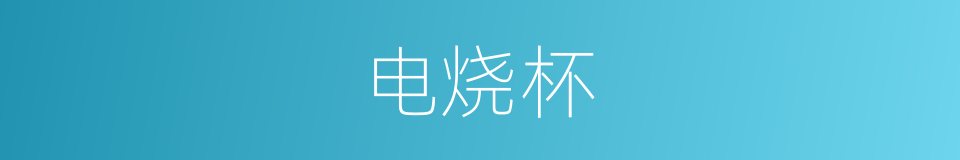 电烧杯的同义词