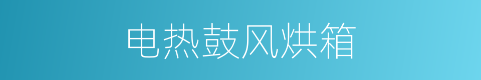 电热鼓风烘箱的同义词