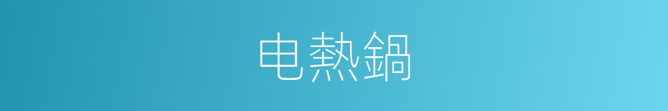 电熱鍋的同義詞