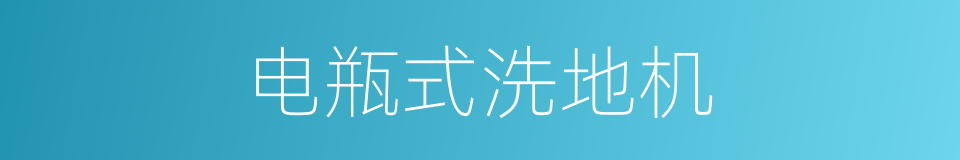 电瓶式洗地机的同义词