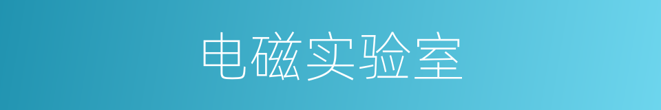 电磁实验室的同义词