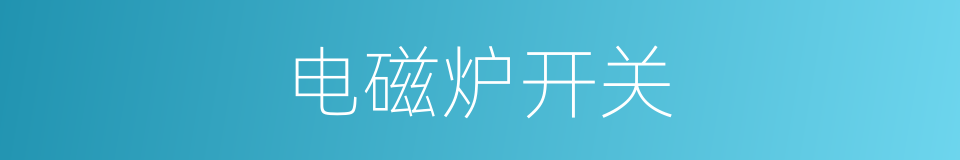 电磁炉开关的同义词