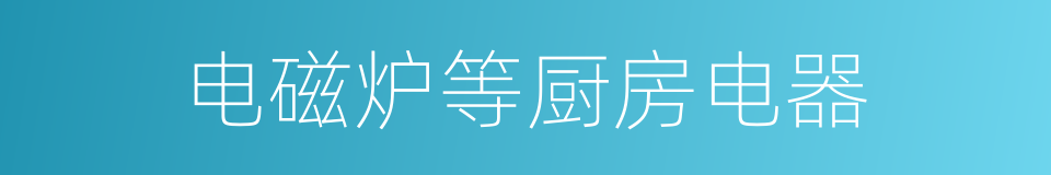 电磁炉等厨房电器的同义词