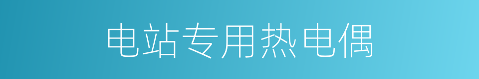 电站专用热电偶的同义词