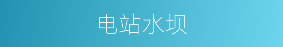 电站水坝的同义词