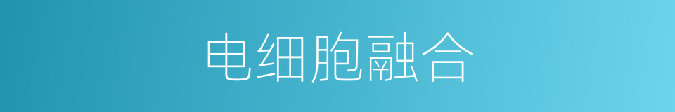 电细胞融合的同义词