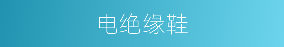 电绝缘鞋的同义词