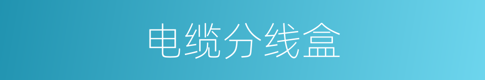 电缆分线盒的同义词