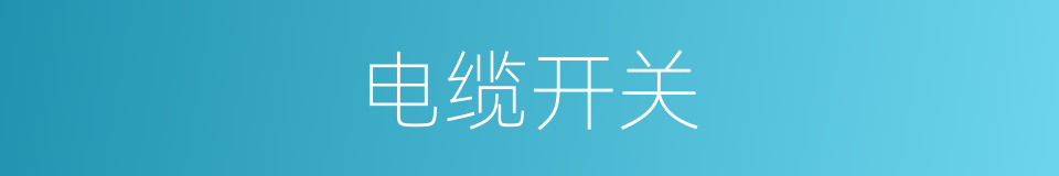 电缆开关的同义词