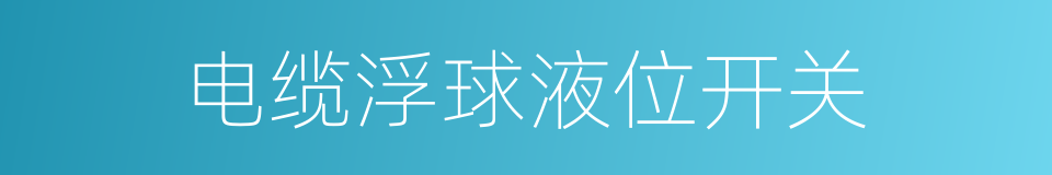 电缆浮球液位开关的同义词