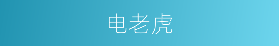 电老虎的意思