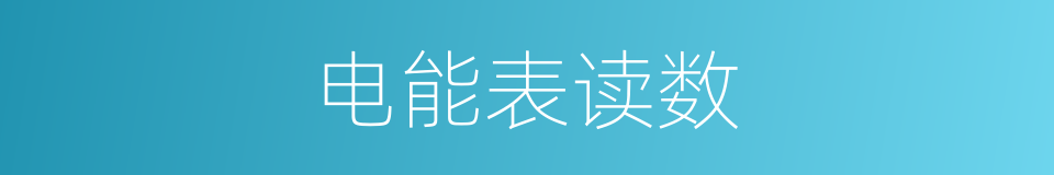 电能表读数的同义词