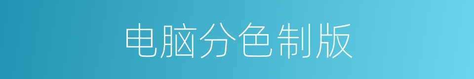电脑分色制版的同义词