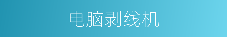 电脑剥线机的同义词