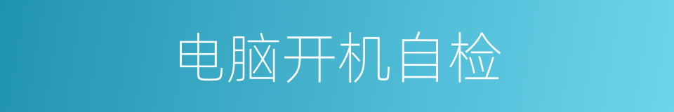 电脑开机自检的同义词