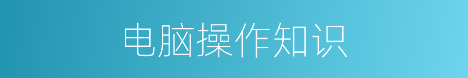 电脑操作知识的同义词