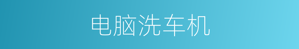电脑洗车机的同义词