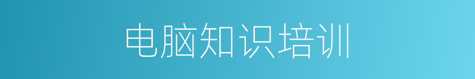 电脑知识培训的同义词