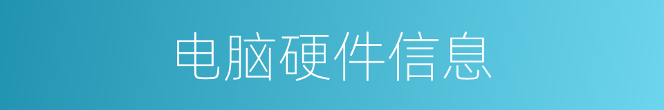 电脑硬件信息的同义词