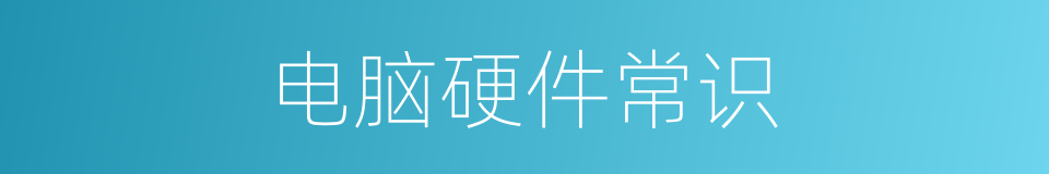 电脑硬件常识的同义词