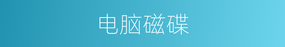电脑磁碟的同义词