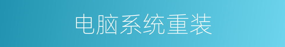 电脑系统重装的同义词