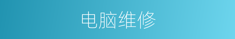 电脑维修的同义词