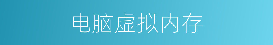 电脑虚拟内存的同义词