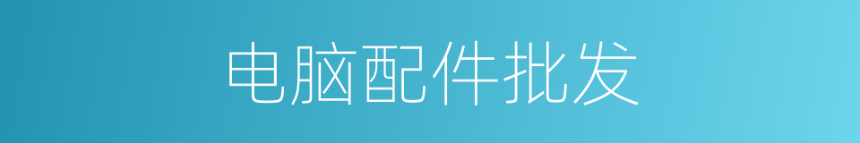 电脑配件批发的同义词