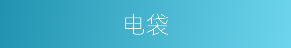 电袋的同义词