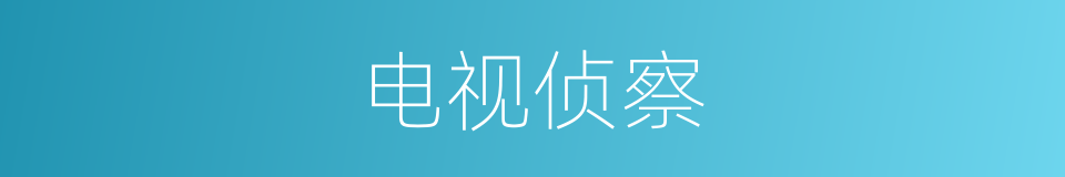 电视侦察的同义词