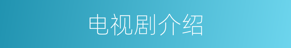 电视剧介绍的同义词