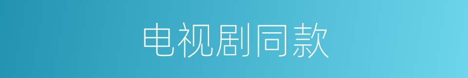 电视剧同款的同义词
