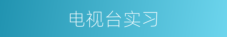 电视台实习的同义词