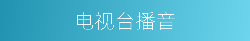 电视台播音的同义词
