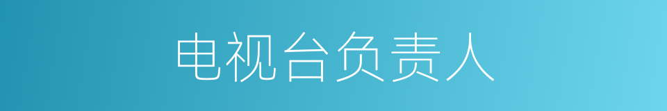 电视台负责人的同义词