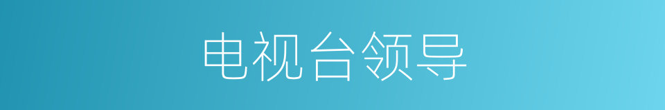 电视台领导的同义词