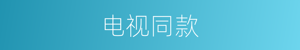 电视同款的同义词