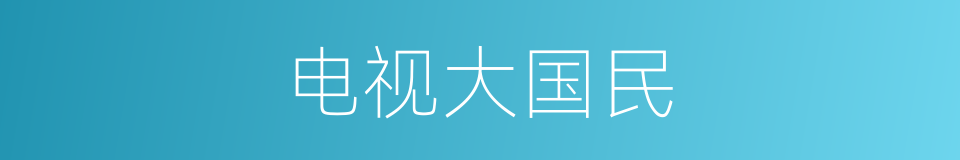 电视大国民的同义词