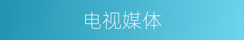 电视媒体的同义词