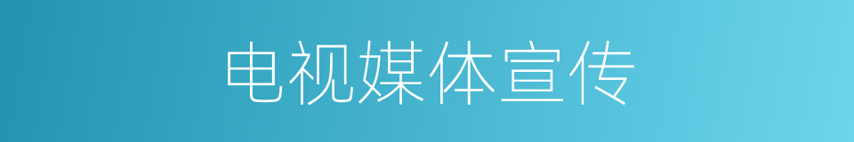 电视媒体宣传的同义词