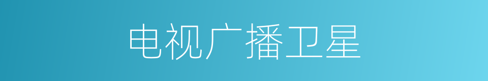 电视广播卫星的同义词