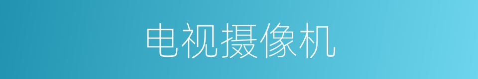 电视摄像机的同义词