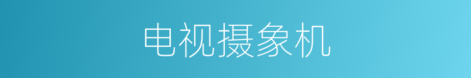 电视摄象机的同义词
