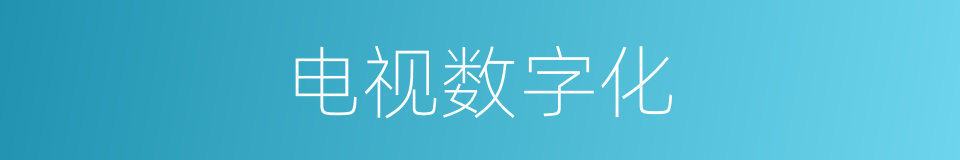 电视数字化的同义词