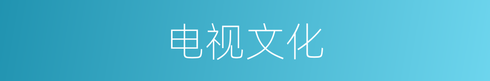 电视文化的同义词
