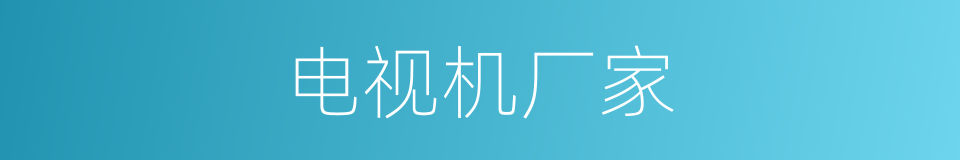 电视机厂家的同义词
