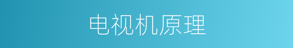电视机原理的同义词