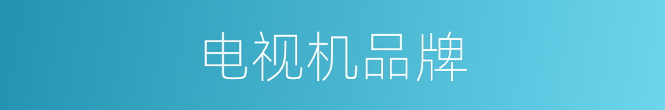 电视机品牌的同义词
